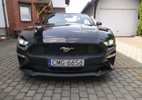 Ford Mustang cena 93000 przebieg: 100000, rok produkcji 2018 z Mogilno małe 326